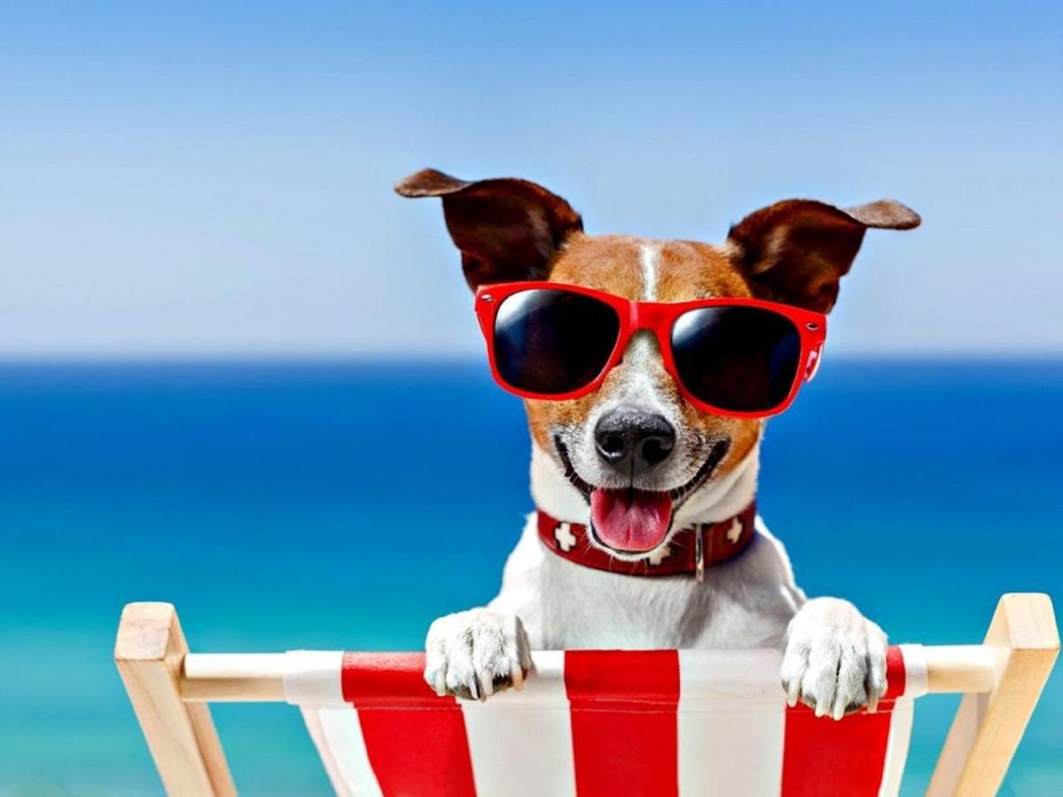 Scratby Fabulous 2 Bedroom Dog Friendly Chalet 5 Min Walk To Beach, Nr Gt Yarmouth & Norfolk Broads מראה חיצוני תמונה